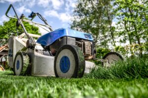 Landscaping Modesto Lawn Services